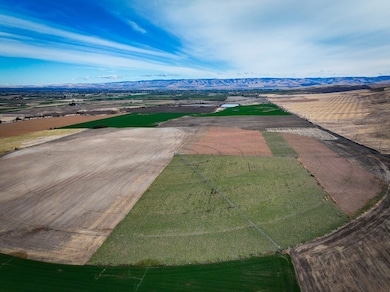 50671 Schubert Rd, Milton Freewater, OR 97862 - photo 2