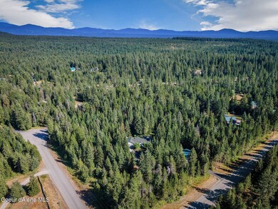 Situated on 5.11 Wooded Acres