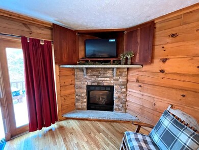 fireplace tv