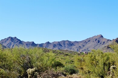 Tucson Mountain Views