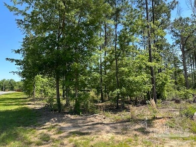 17 Steele Meadow Dr, Milton, FL 32571 - photo 3