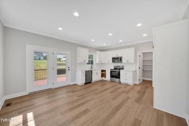 618 Cherry Marie Dr, Jonesborough, TN 37659 - photo 7