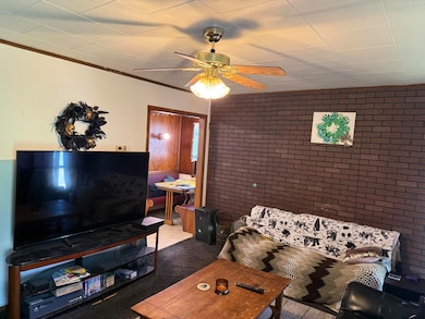 1005 S Park Ave, Aurora, MO 65605 - photo 5