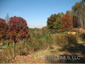 168 Moores Valley Rd, Leicester, NC 28748 - photo 2
