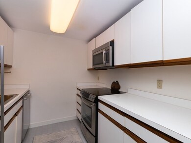 47 Harvard St unit A309, Charlestown, MA 02129 - photo 5