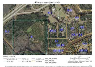 40 Acres Plat
