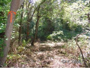 99999 Caribou Rd, Asheville, NC 28803 - photo 5