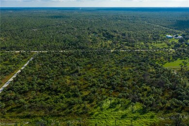 1835 Benton Rd, Rural Estates, FL 34117 - photo 5