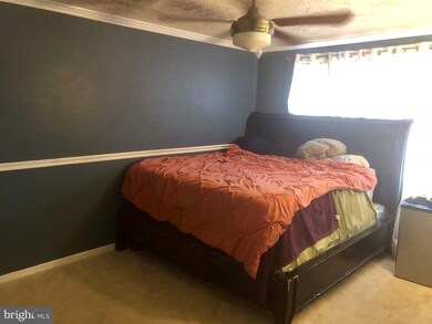 6517 Alopex Rd, Waldorf, MD 20603 - photo 7