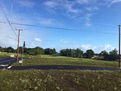 4048 Hiluhilu Place, Hilo, HI 96720 - photo 2