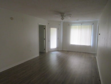 Photo #7