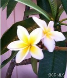 4800 Sunnybrook Ave, Buena Park, CA 90621 - photo 6