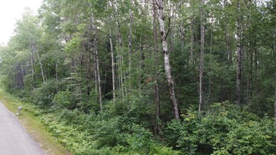 ON Schallock Ln, Crandon, WI 54520 - photo 6