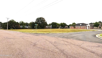 78 Clarington Cove, Southaven, MS 38671 - photo 2