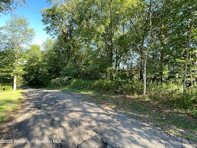 2932 Penman St, Scranton, PA 18505 - photo 4