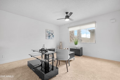 2042 W Elm St, Phoenix, AZ 85015 - photo 7