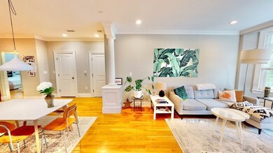 37 University Rd unit 2, Brookline, MA 02445 - photo 7