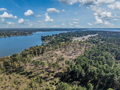 17446 Pintail Dr, Flint, TX 75762 - photo 7