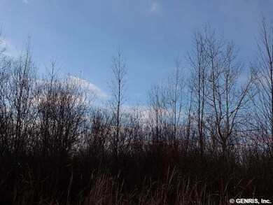 Land/Lot