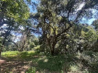 0 Creel Rd unit 23835353, Theodore, AL 36582 - photo 6