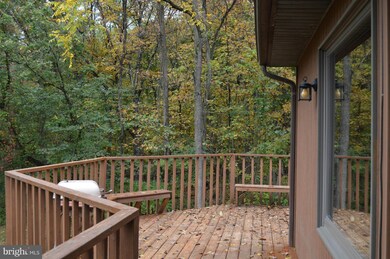 1694 Deer Rapids Rd, Strasburg, VA 22657 - photo 7