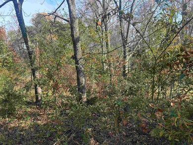 1948 Few Chapel Rd, Greer, SC 29651 - photo 5