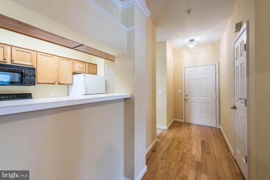 46608 Drysdale Terrace unit 100, Sterling, VA 20165 - photo 7
