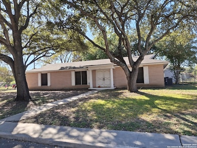 3601 Vinecrest Dr, San Antonio, TX 78219 - photo 5