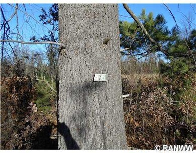 0 Hwy Ff unit 895941, Webster, WI 54893 - photo 4