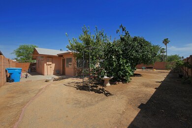 Fruit Trees in Backyard