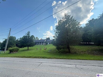 539 Strawberry Hill Dr, Doe Valley, KY 40108 - photo 2