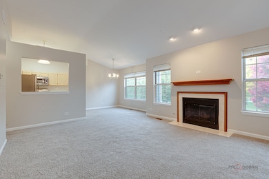 543 Grosse Pointe Cir unit 103, Vernon Hills, IL 60061 - photo 5