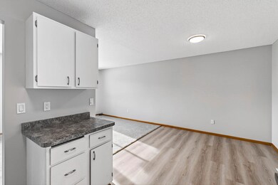 9955 Cord St NE, Circle Pines, MN 55014 - photo 7