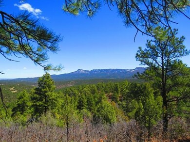 0 Fox Trail unit 20-978, Trinidad, CO 81082 - photo 4