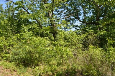 999 Retta Ln, Leicester, NC 28748 - photo 4