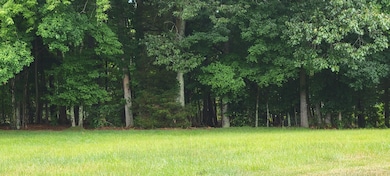 Beautiful Lake Lot