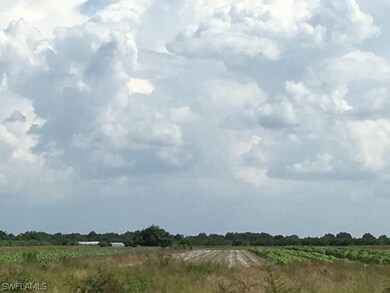 0 3rd Rd unit 218054543, Labelle, FL 33935 - photo 2