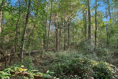 0 Old Covington Hwy unit 2491492, Hammond, LA 70403 - photo 3