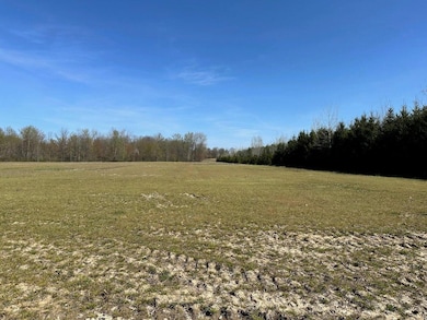 V/L Hipps Hollow Rd, Eau Claire, MI 49111 - photo 4