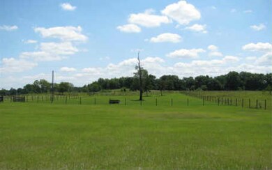 unlisted-address, O'Brien, FL 32071 - photo 3