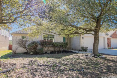 25027 Catalan Cliff, San Antonio, TX 78261 - photo 2