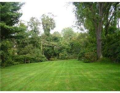 Yard/Garden. View from back porch or kitchen windo