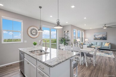 17060 E 95th Ave, Commerce City, CO 80022 - photo 7