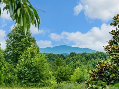 18 Chapel Hill Place, Leicester, NC 28748 - photo 2