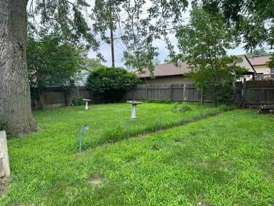 back yard