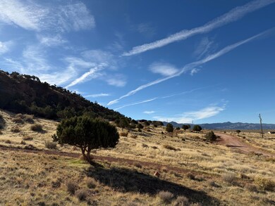 1714 N Foothill Dr, Paragonah, UT 84760 - photo 6