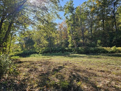 0 Booth Rd, Roxbury, CT 06783 - photo 4