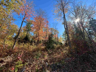 Parcel 1A Bridgeview Ln, Negaunee, MI 49866 - photo 4