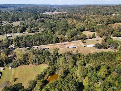 0- Black Cemetary Rd, Oakman, AL 35579 - photo 7