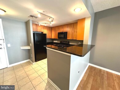 The Crescent unit 311, Silver Spring, MD 20910 - photo 3